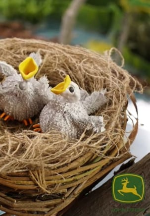 Thumbnail of Ep. 2 - Dee Dee and Milo Save an Eagle's Nest