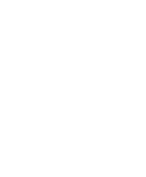 Foursight Solutions