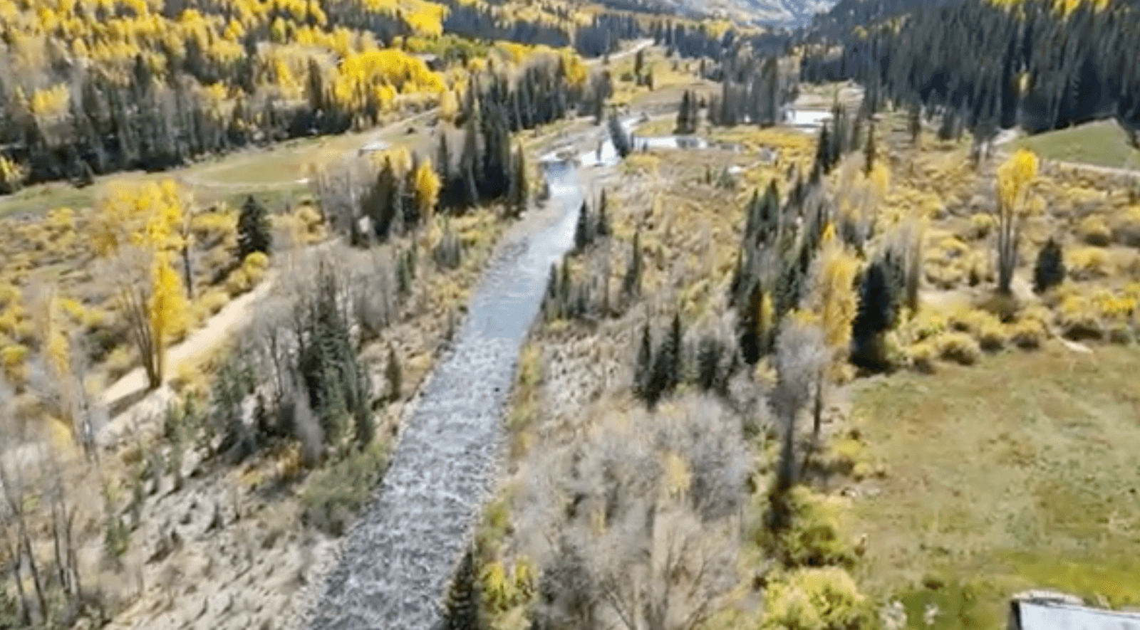 4RE | An overhead shot of a river snaking through a forest in the Rocky Mountains.