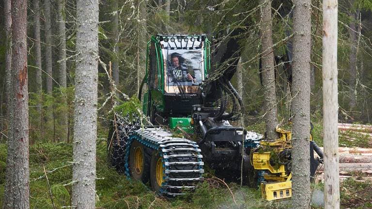 John Deere 1470G wheeled harvester standing between the trees on a late thinning. | 4re Equipment